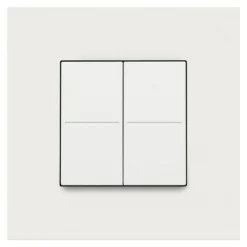 Schakelaar Smart Hue