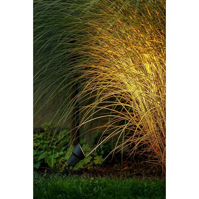Led-tuinspotset Focus 2 Led-tuinspotset Focus - Afbeelding 2