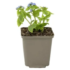 Paulmann Led-onderbouwverlichtingset Mike