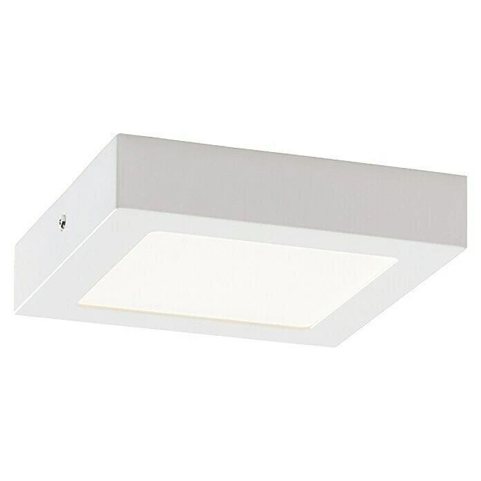 Led-plafondlamp Tinus 2 Led-plafondlamp Tinus - Afbeelding 2
